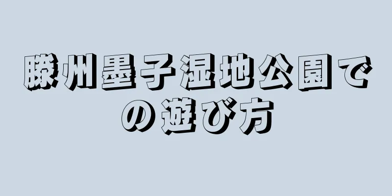 滕州墨子湿地公園での遊び方