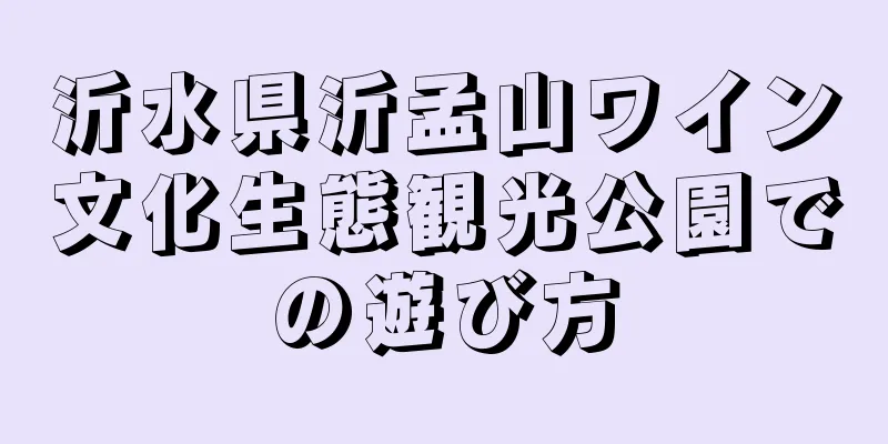 沂水県沂孟山ワイン文化生態観光公園での遊び方