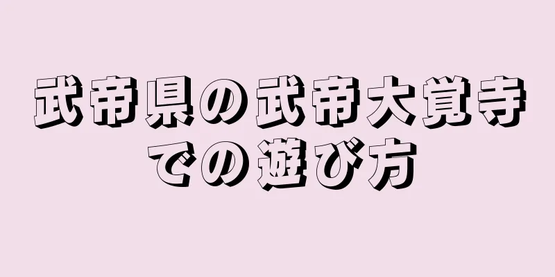 武帝県の武帝大覚寺での遊び方