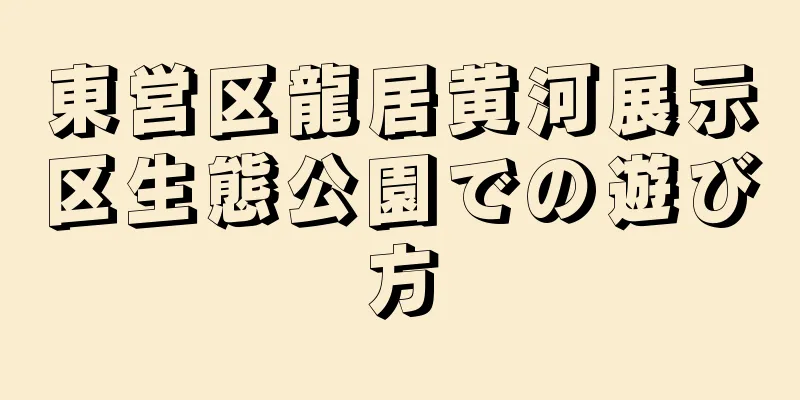 東営区龍居黄河展示区生態公園での遊び方