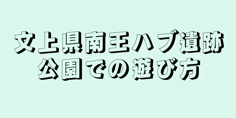 文上県南王ハブ遺跡公園での遊び方