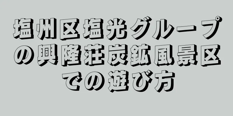 塩州区塩光グループの興隆荘炭鉱風景区での遊び方
