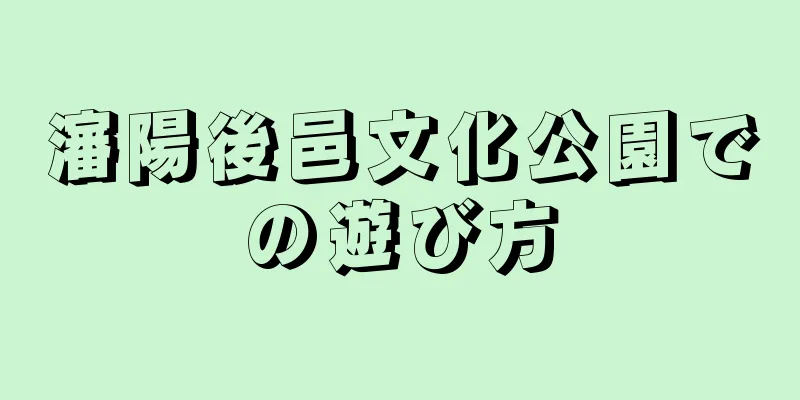 瀋陽後邑文化公園での遊び方
