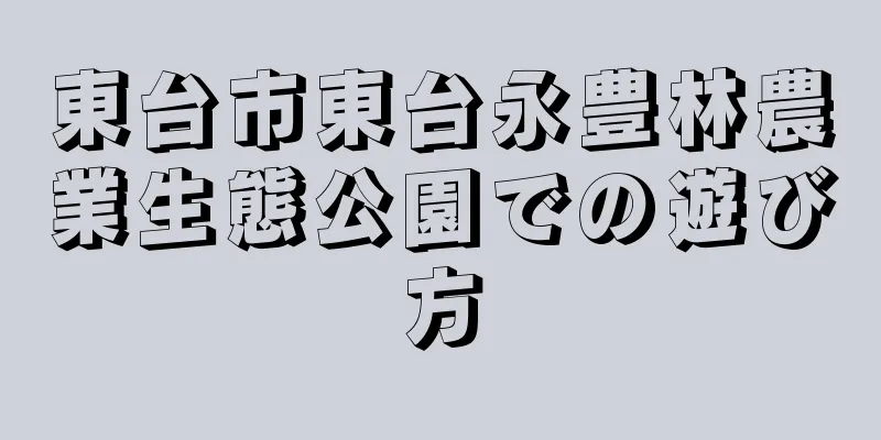 東台市東台永豊林農業生態公園での遊び方