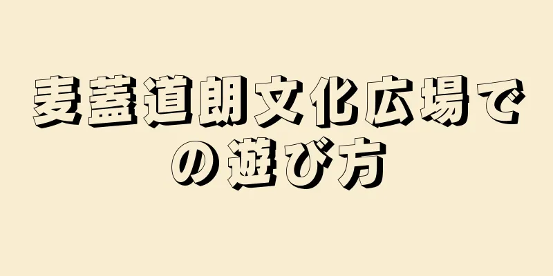 麦蓋道朗文化広場での遊び方