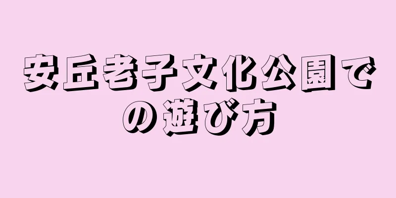 安丘老子文化公園での遊び方