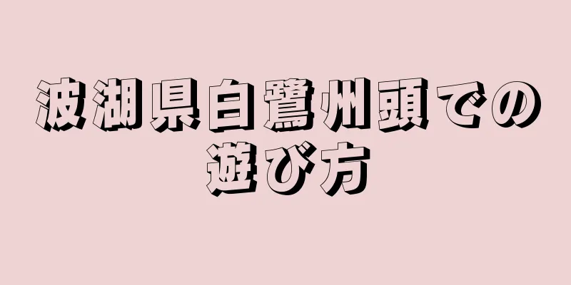 波湖県白鷺州頭での遊び方