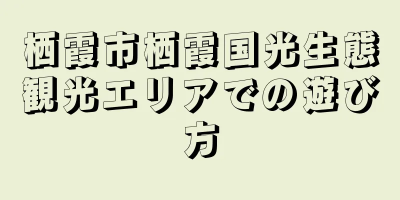 栖霞市栖霞国光生態観光エリアでの遊び方
