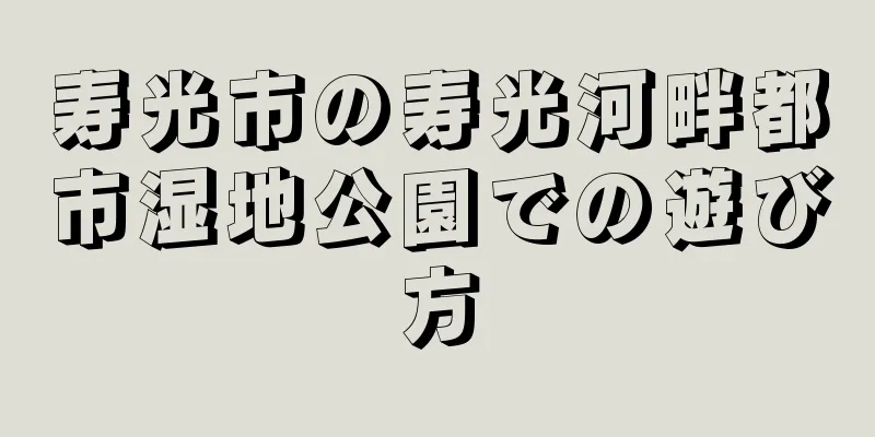 寿光市の寿光河畔都市湿地公園での遊び方