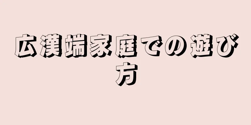 広漢端家庭での遊び方