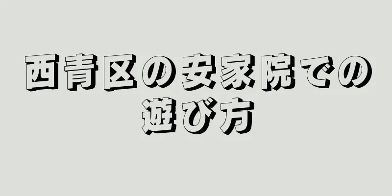 西青区の安家院での遊び方