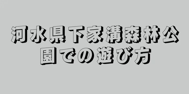 河水県下家溝森林公園での遊び方