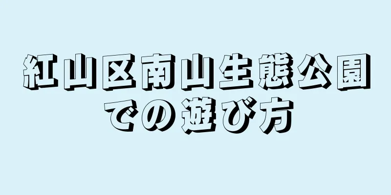 紅山区南山生態公園での遊び方