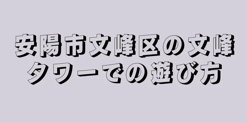 安陽市文峰区の文峰タワーでの遊び方