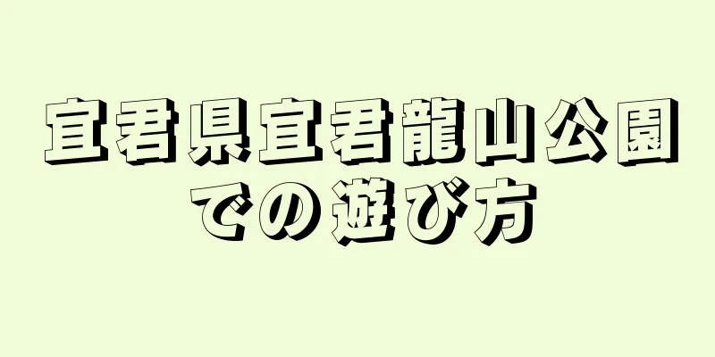 宜君県宜君龍山公園での遊び方