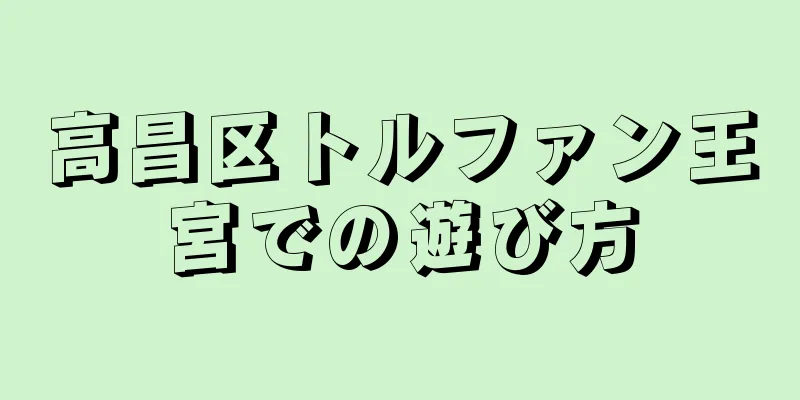 高昌区トルファン王宮での遊び方