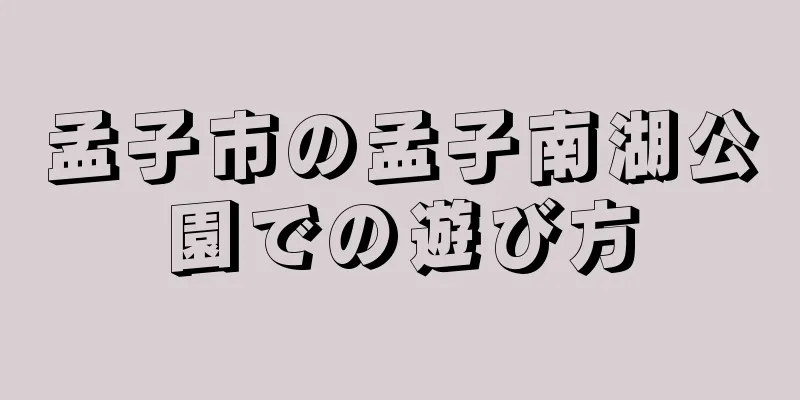 孟子市の孟子南湖公園での遊び方