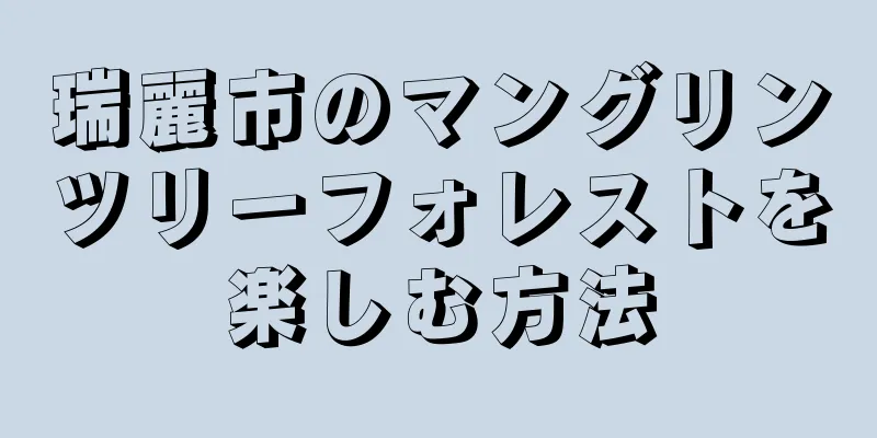 瑞麗市のマングリンツリーフォレストを楽しむ方法
