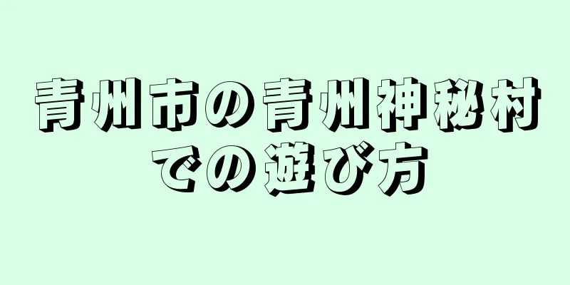 青州市の青州神秘村での遊び方