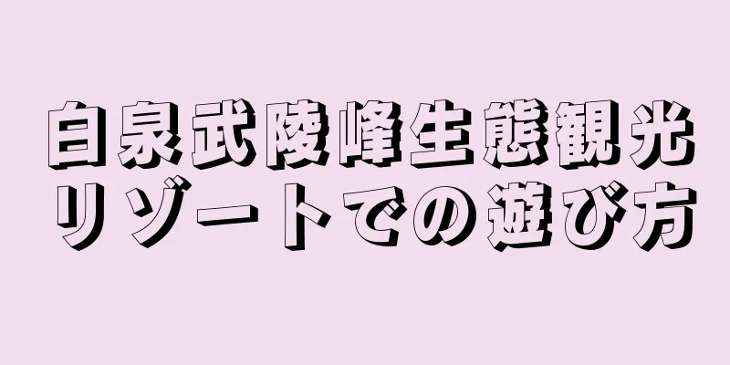 白泉武陵峰生態観光リゾートでの遊び方