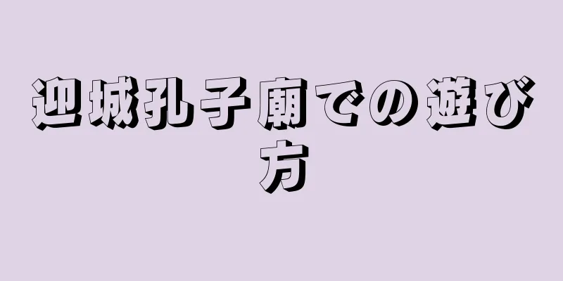 迎城孔子廟での遊び方