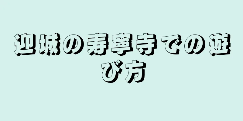 迎城の寿寧寺での遊び方