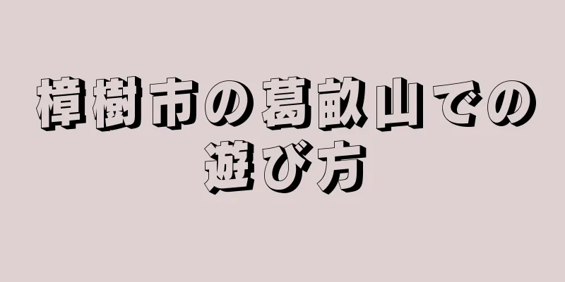 樟樹市の葛畝山での遊び方