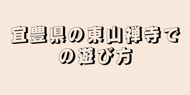 宜豊県の東山禅寺での遊び方
