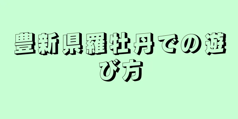 豊新県羅牡丹での遊び方