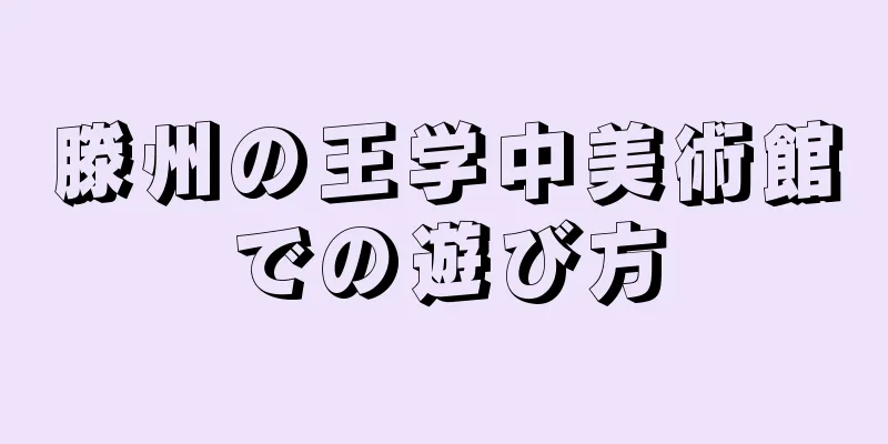 滕州の王学中美術館での遊び方