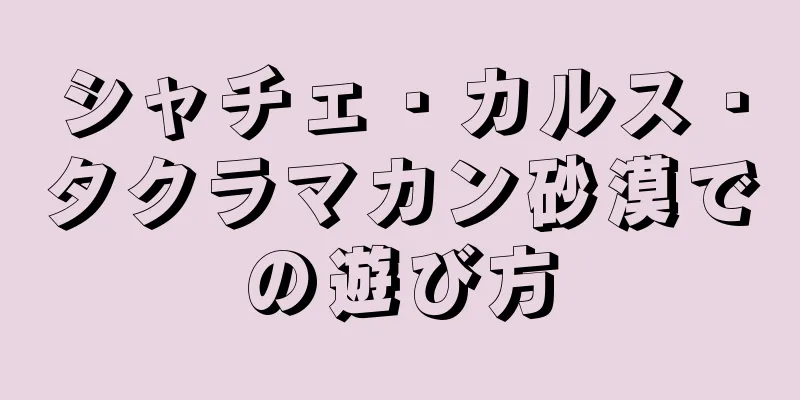 シャチェ・カルス・タクラマカン砂漠での遊び方