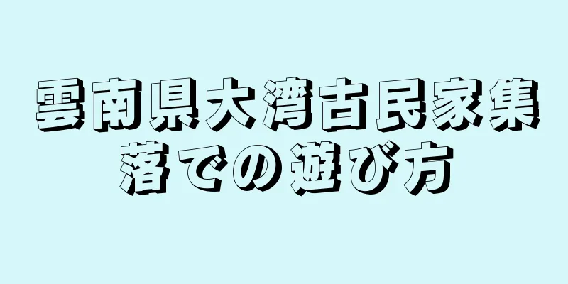 雲南県大湾古民家集落での遊び方