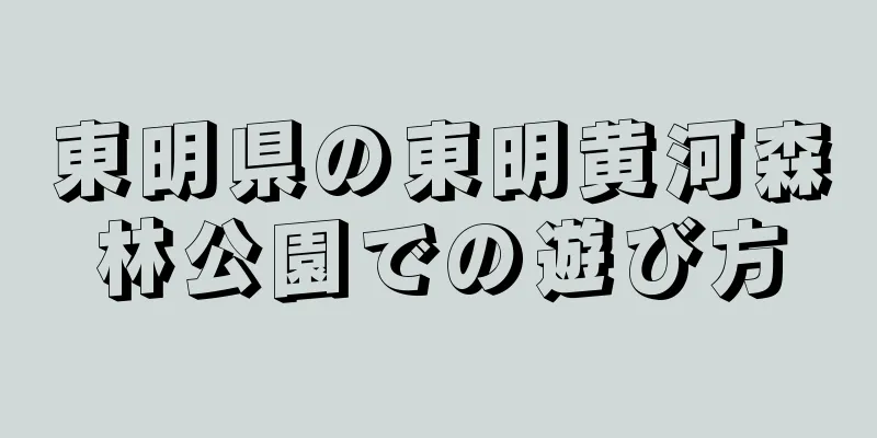 東明県の東明黄河森林公園での遊び方