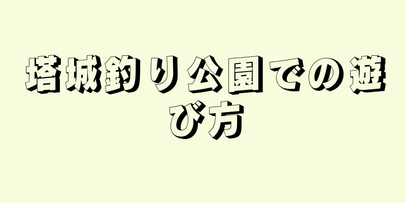 塔城釣り公園での遊び方