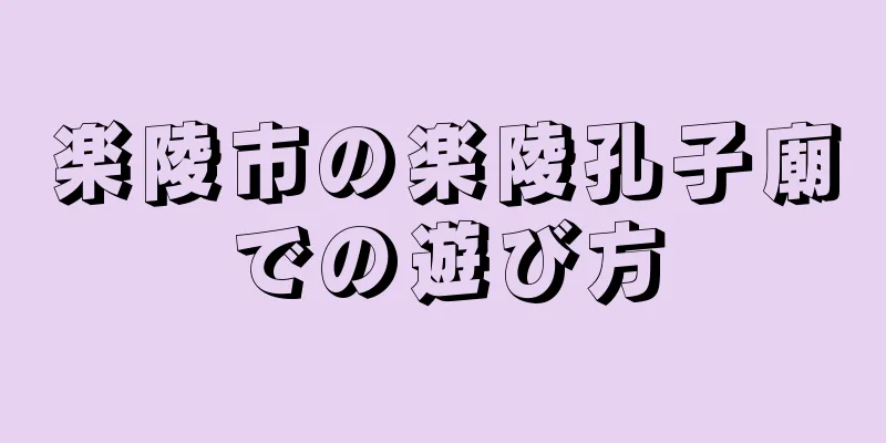 楽陵市の楽陵孔子廟での遊び方