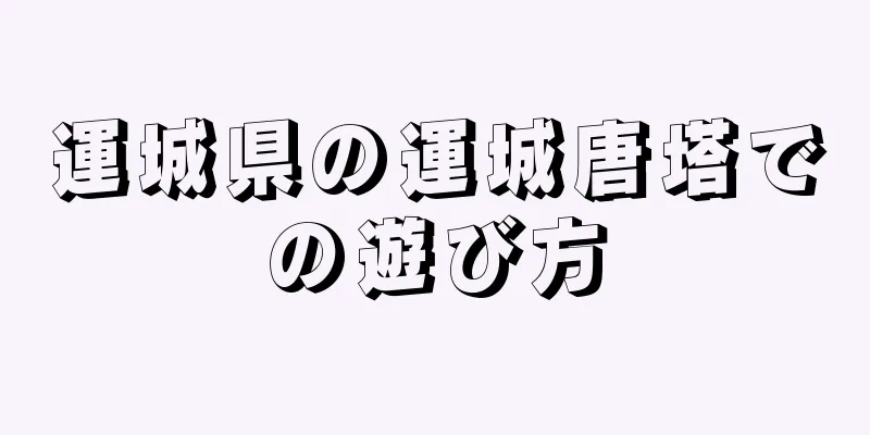 運城県の運城唐塔での遊び方