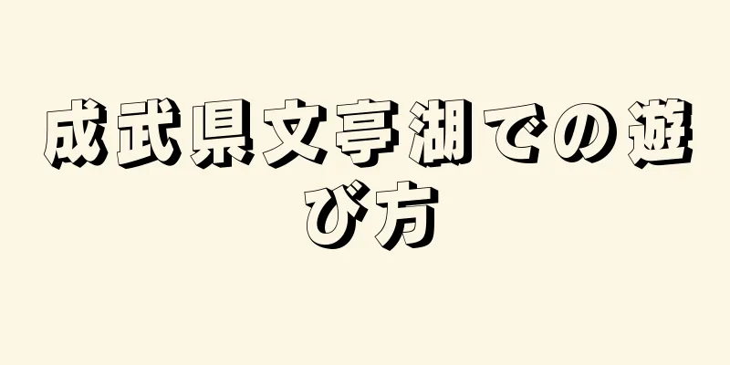 成武県文亭湖での遊び方