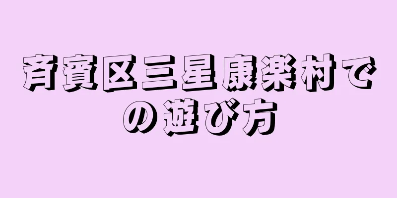 斉賓区三星康楽村での遊び方