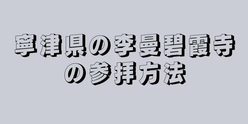 寧津県の李曼碧霞寺の参拝方法