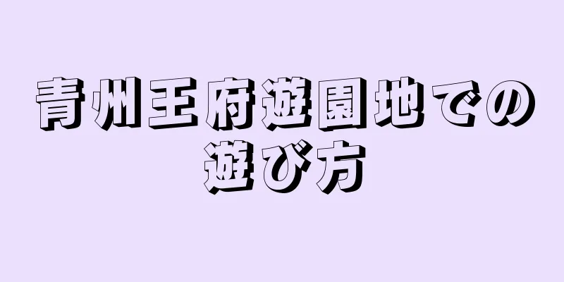 青州王府遊園地での遊び方