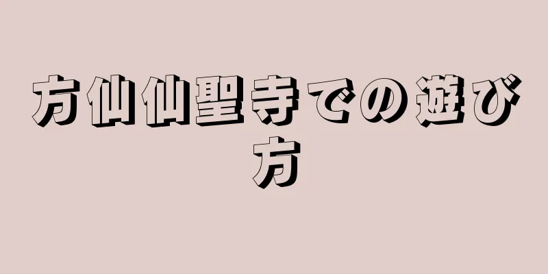 方仙仙聖寺での遊び方