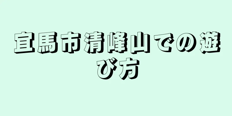 宜馬市清峰山での遊び方