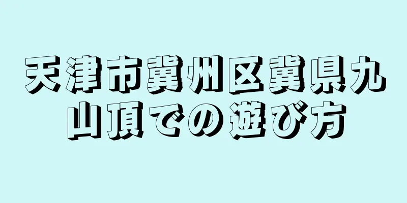 天津市冀州区冀県九山頂での遊び方