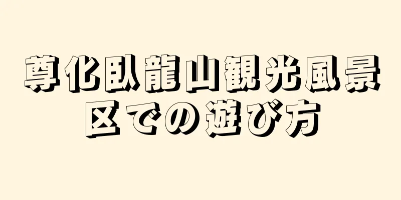 尊化臥龍山観光風景区での遊び方