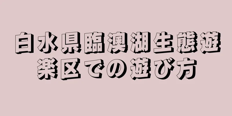 白水県臨澳湖生態遊楽区での遊び方