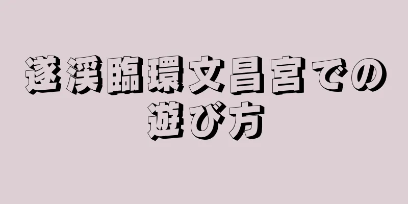 遂渓臨環文昌宮での遊び方