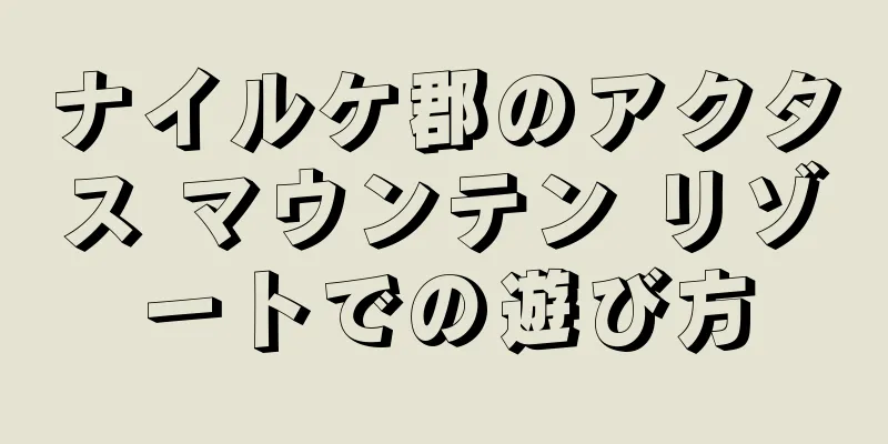 ナイルケ郡のアクタス マウンテン リゾートでの遊び方