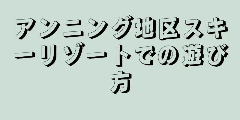 アンニング地区スキーリゾートでの遊び方