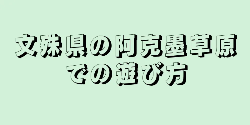 文殊県の阿克墨草原での遊び方