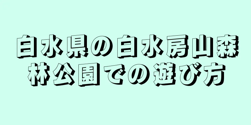 白水県の白水房山森林公園での遊び方
